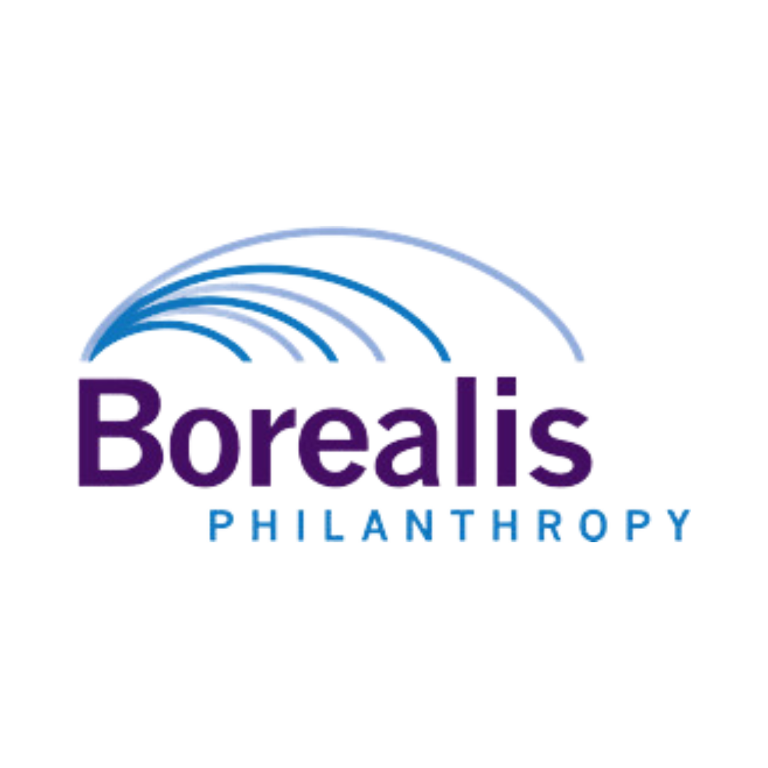 borealis philanthropy logo